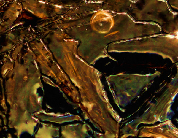 Image #3 of 8: 